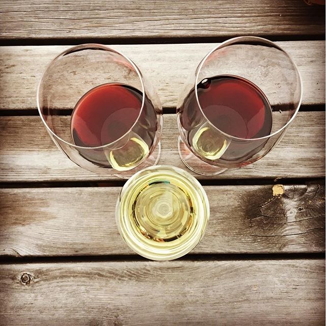 Wein zu dritt! #wine #iseefaces #summer #lastdaysofsummer
