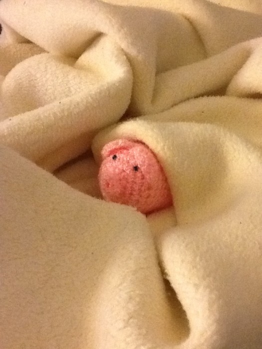 Das Häkelschwein kuschelt sich in eine Decke